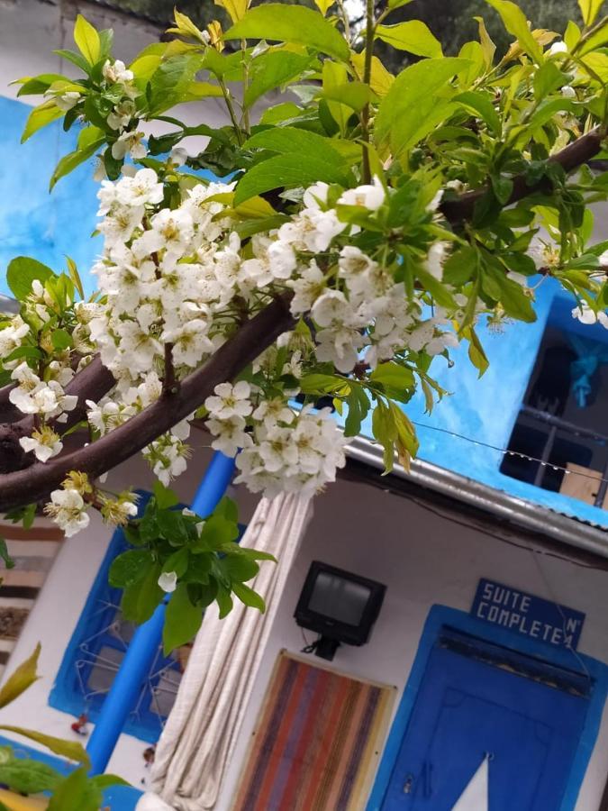 Nefzi Guest House Homestay Nefzi