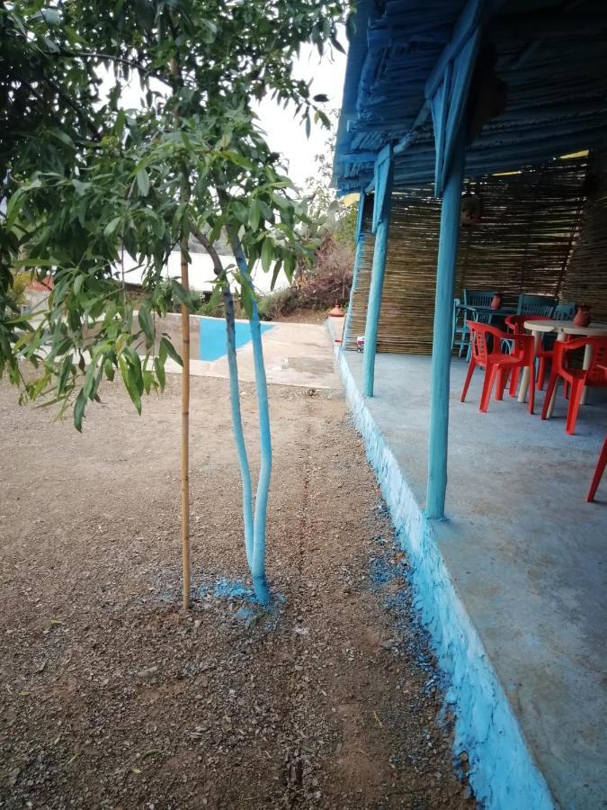 Nefzi Guest House Homestay Nefzi