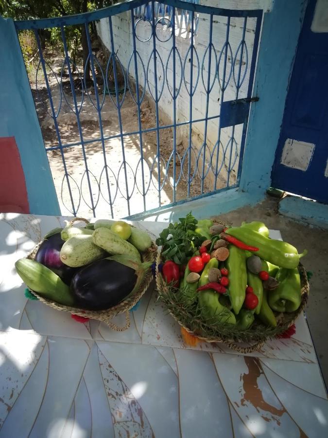 Homestay Nefzi Guest House