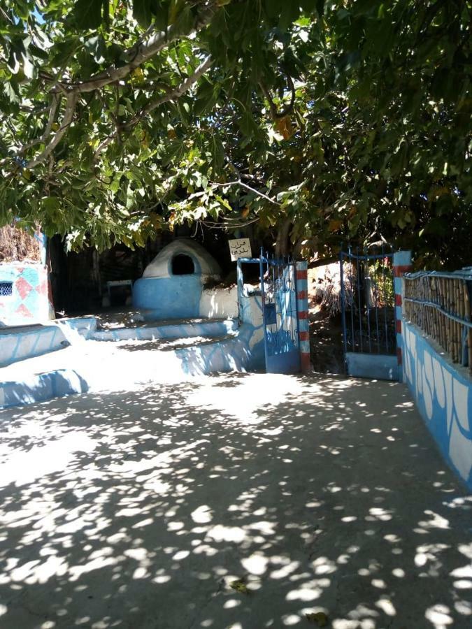 Homestay Nefzi Guest House Nefzi